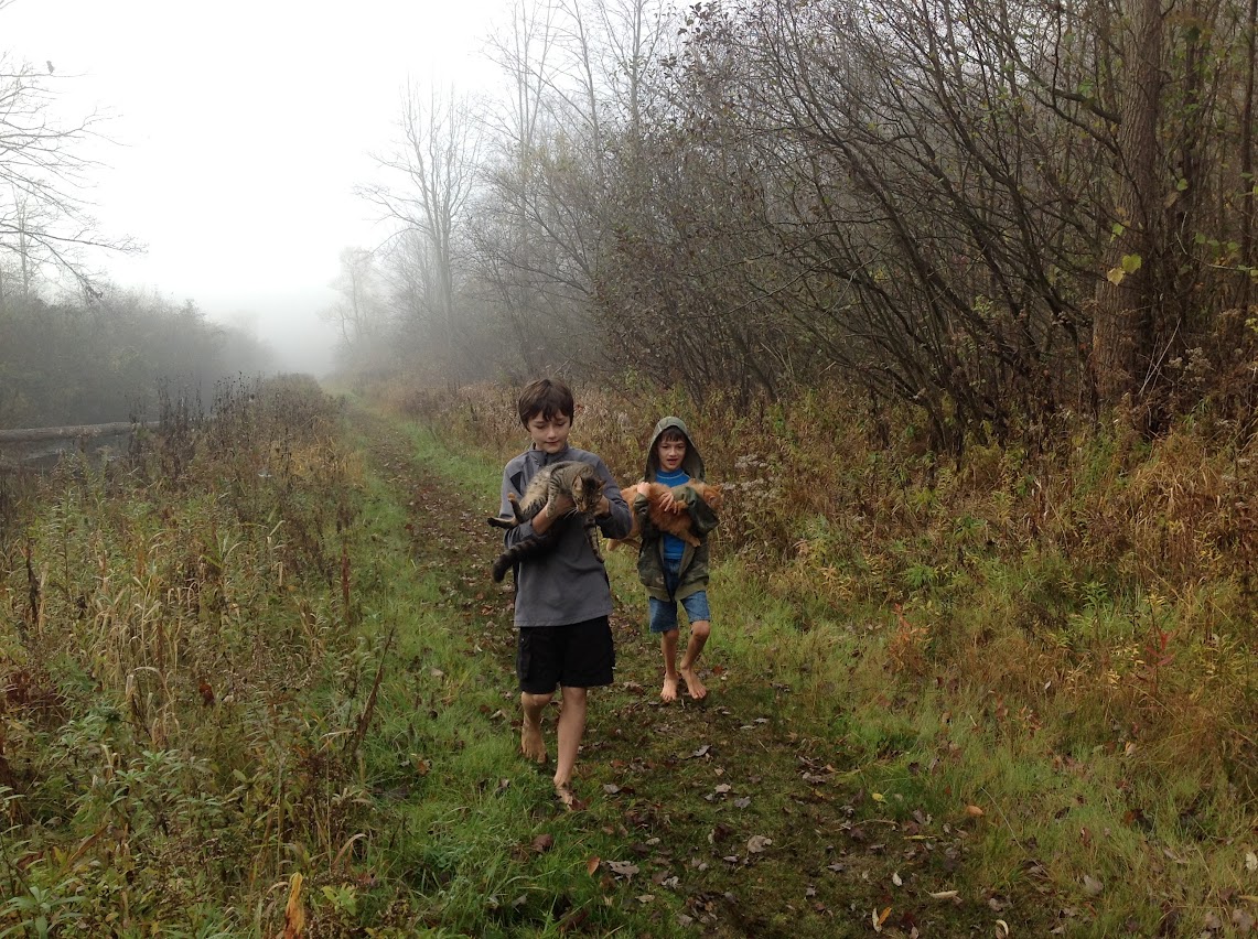 Two of my kids each holding a cat on their walk through a nature trail with fog in the background